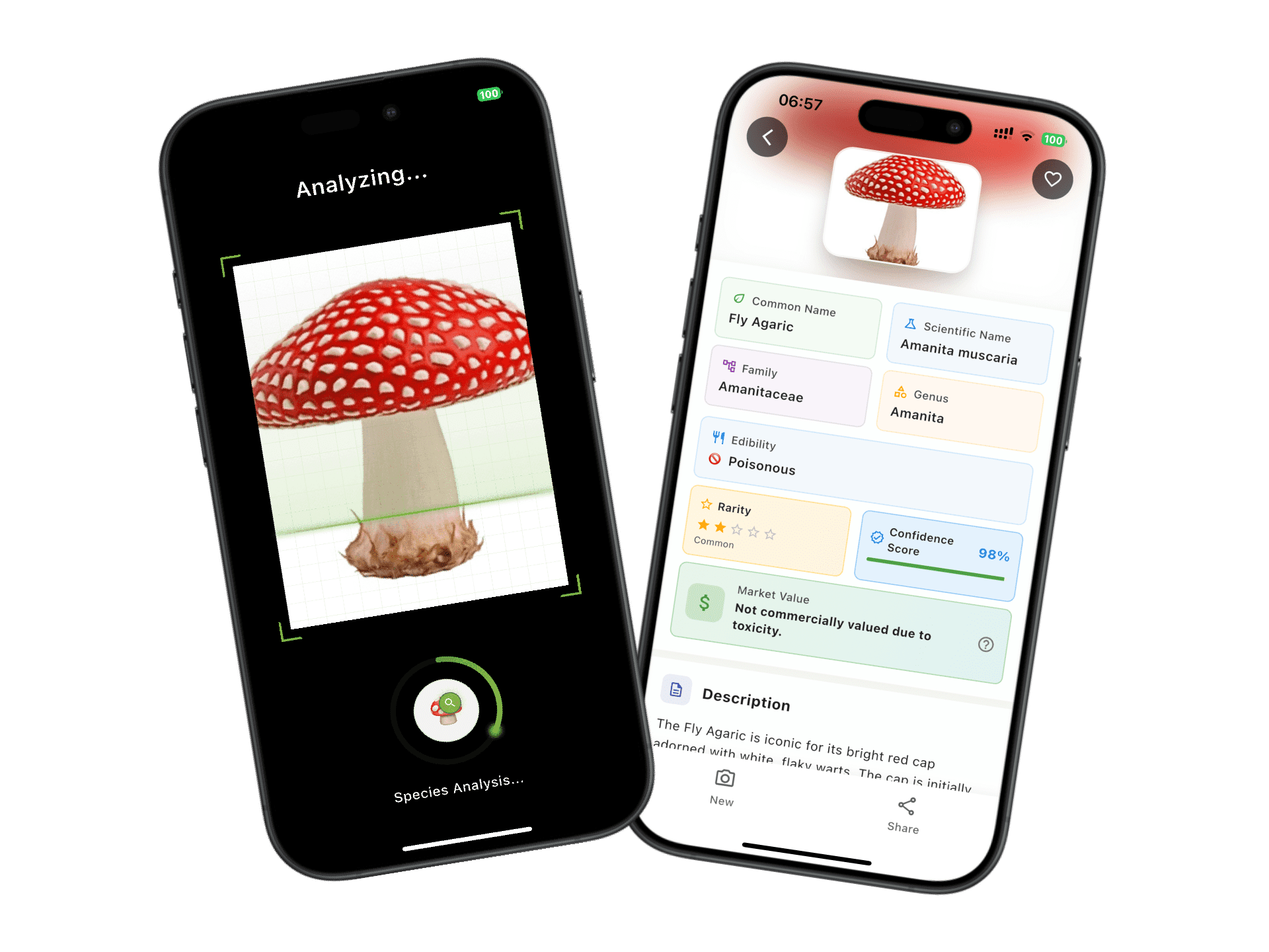 Seedify App Screenshot