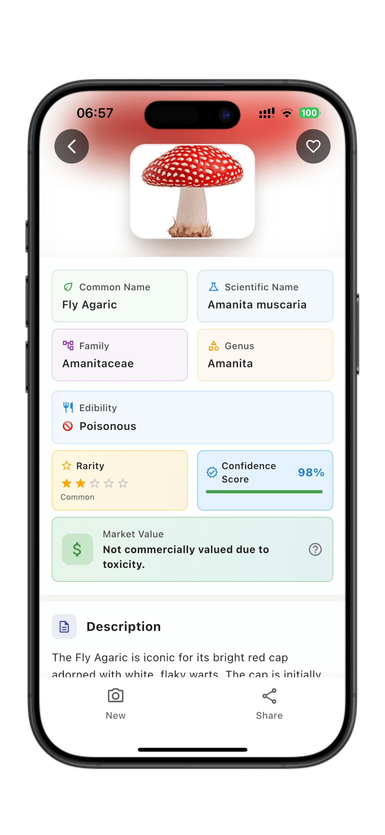 Receive Recommendations